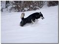 080 Februar 2010 208